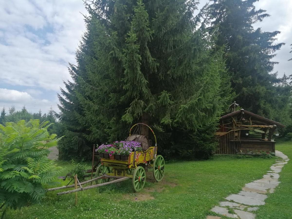 My Favorite Place: Smolyan Lakes Retreat Exterior photo
