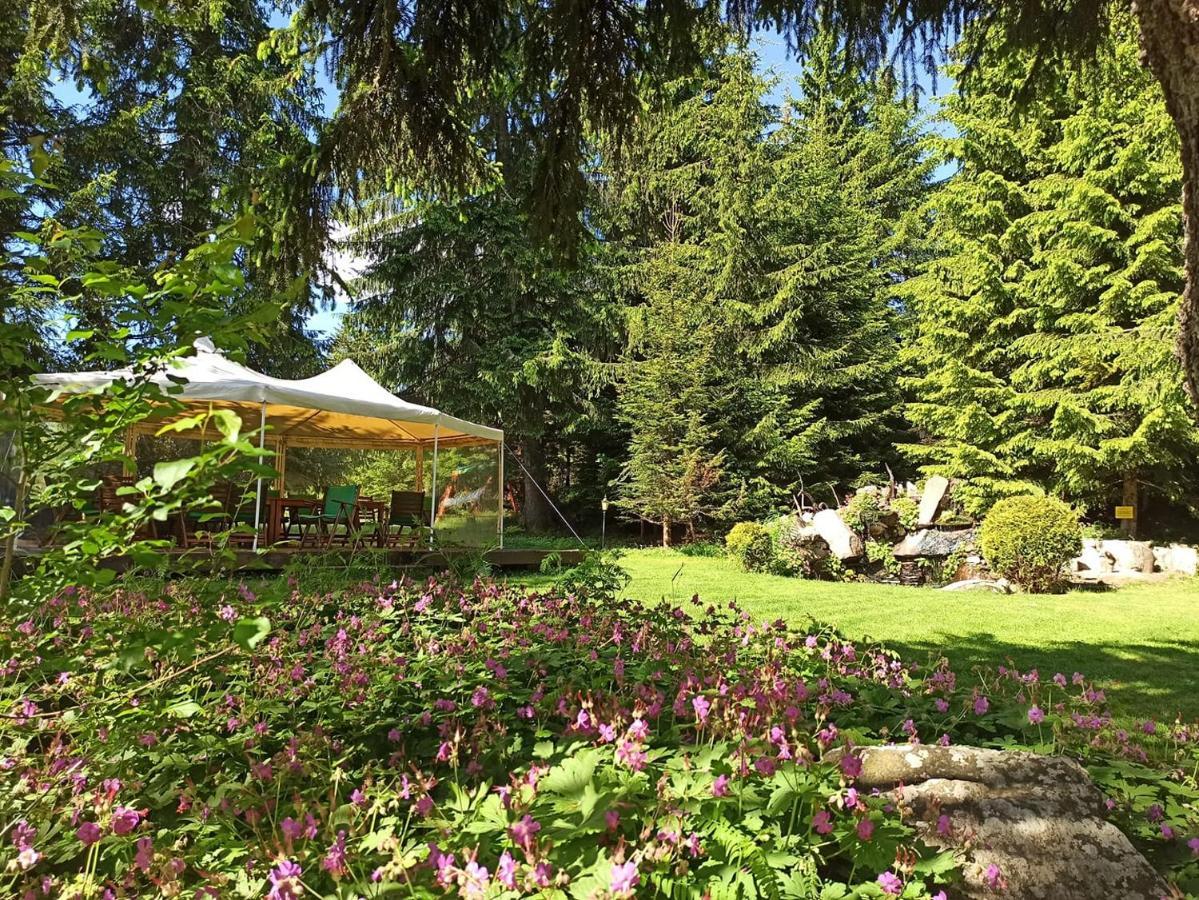 My Favorite Place: Smolyan Lakes Retreat Exterior photo