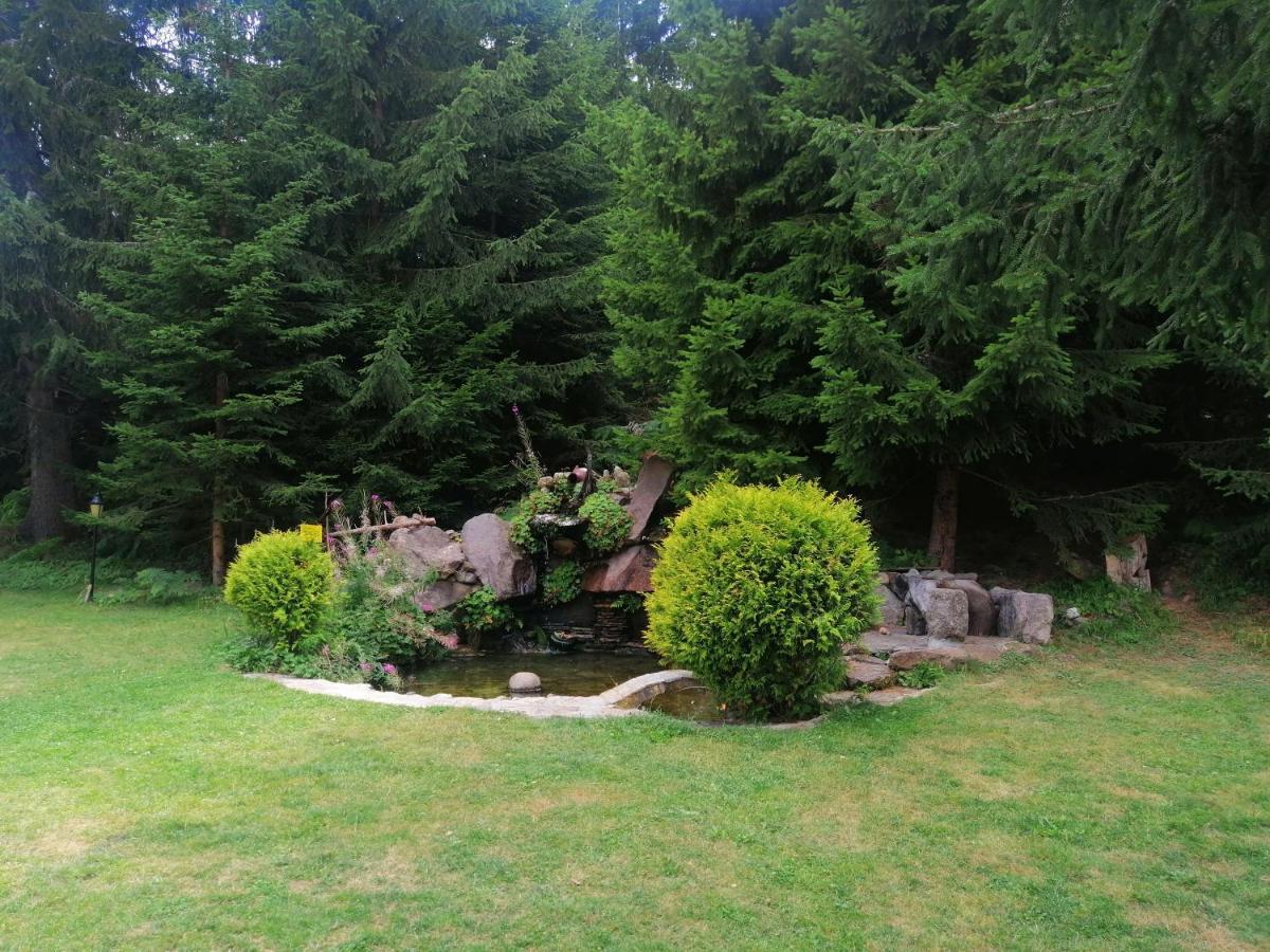 My Favorite Place: Smolyan Lakes Retreat Exterior photo